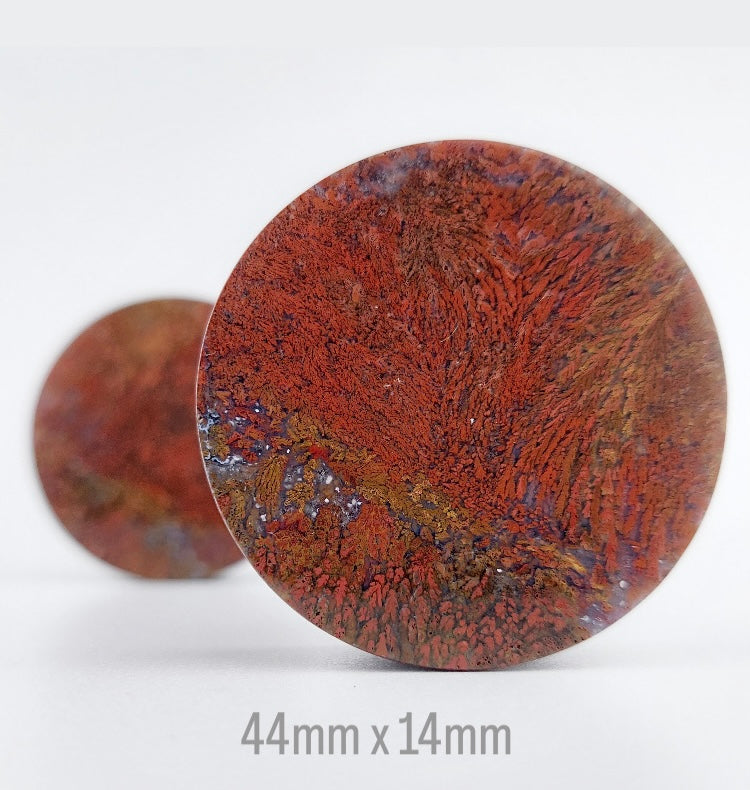 1 3/4” / 44mm Red Moss Agate