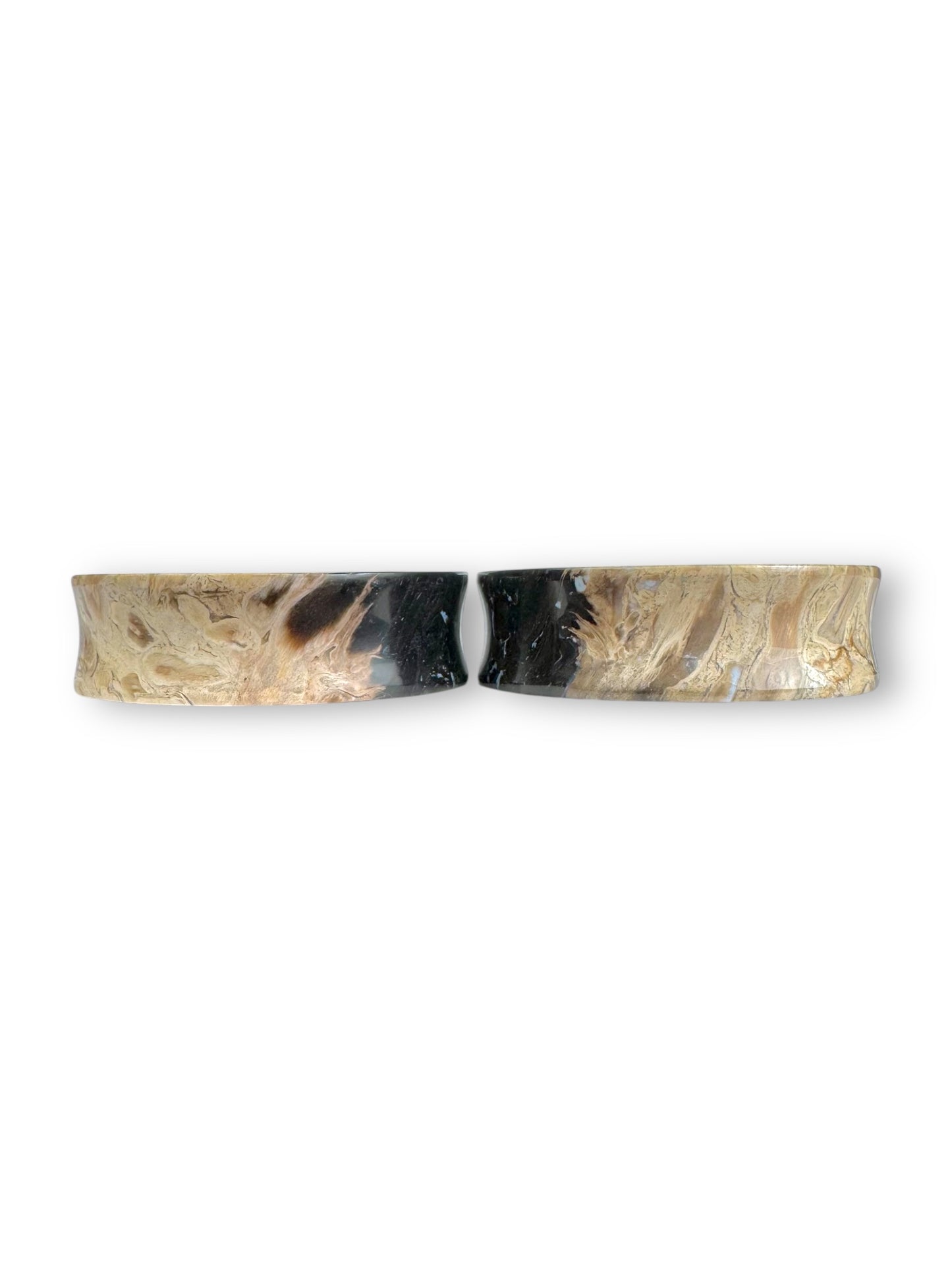 2” / 51mm Petrified Palm Wood