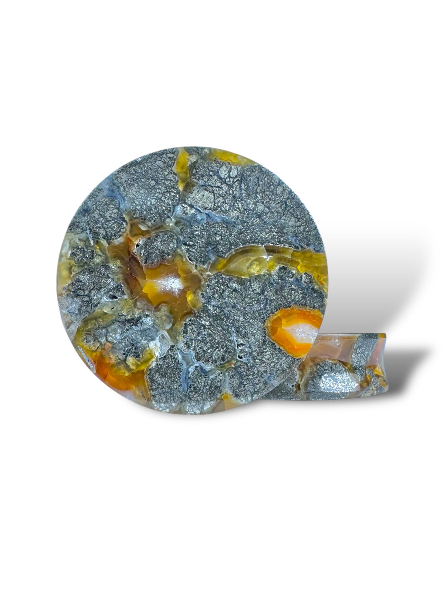 2” / 51mm Marcasite in Agate