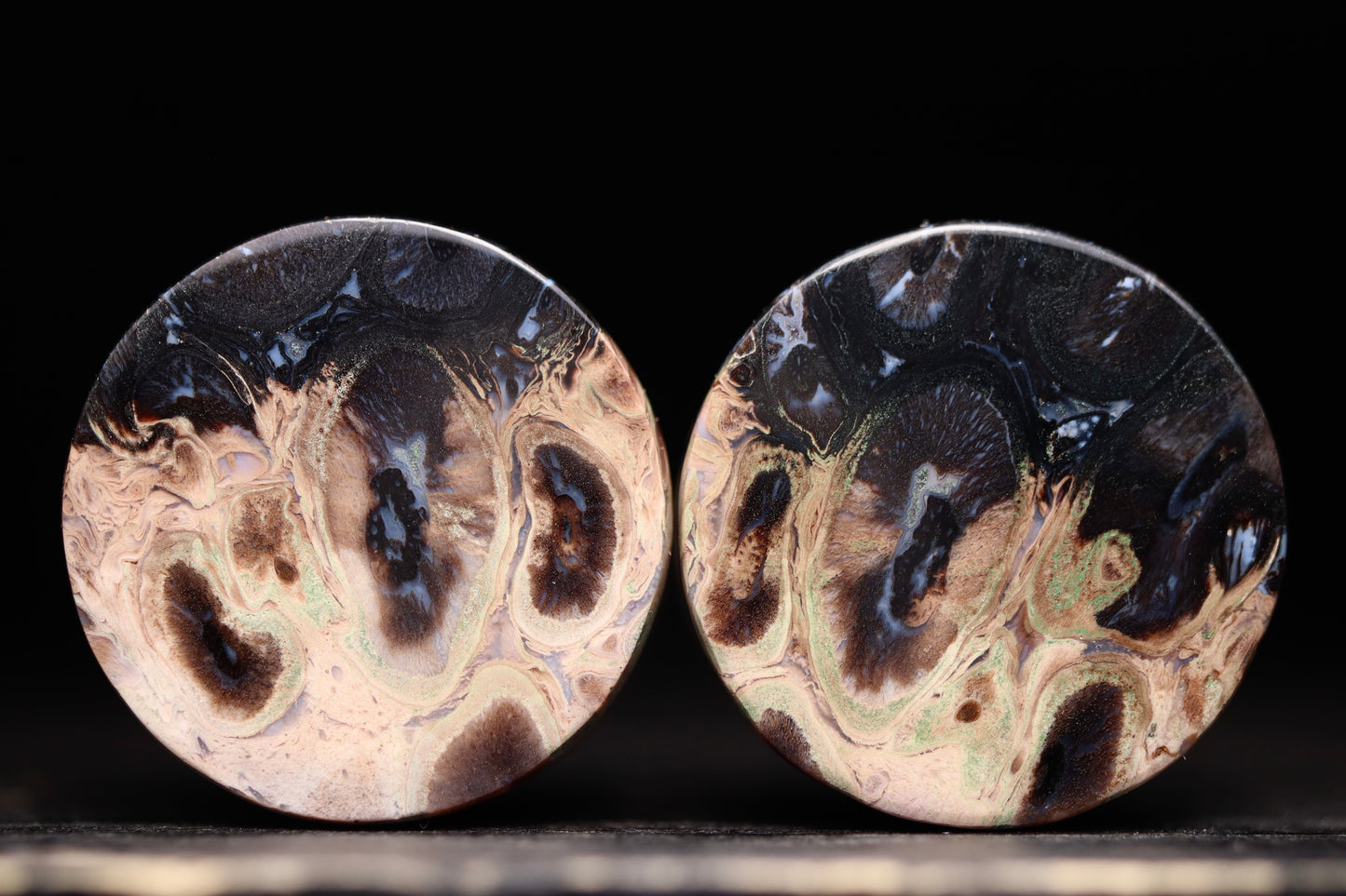 3/4” / 19mm Petrified Palm Wood
