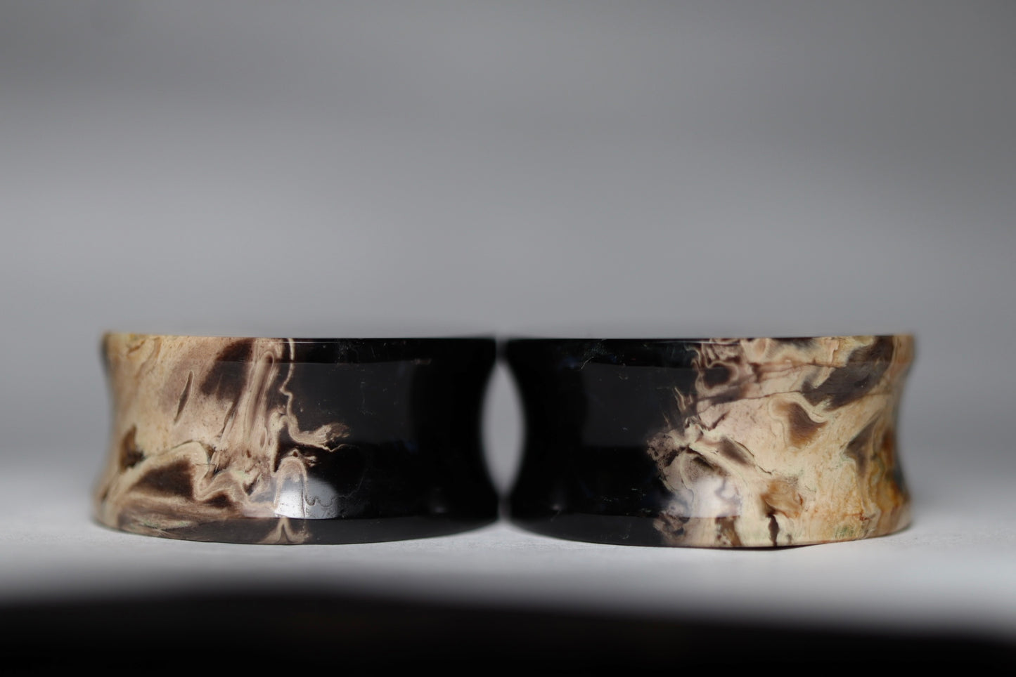 Large 1” / 26mm Petrified Palm Wood