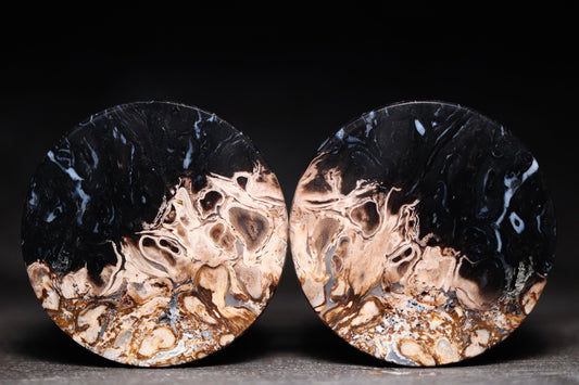 1 5/8” / 41mm Petrified Palm Wood