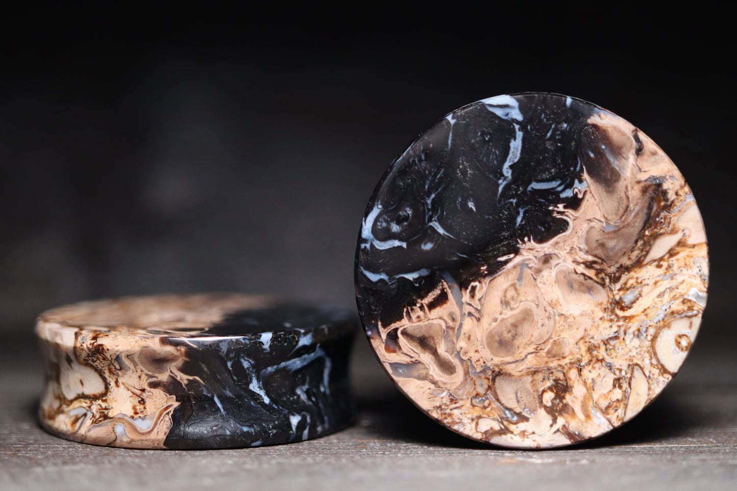 1 5/8” / 41mm Petrified Palm Wood