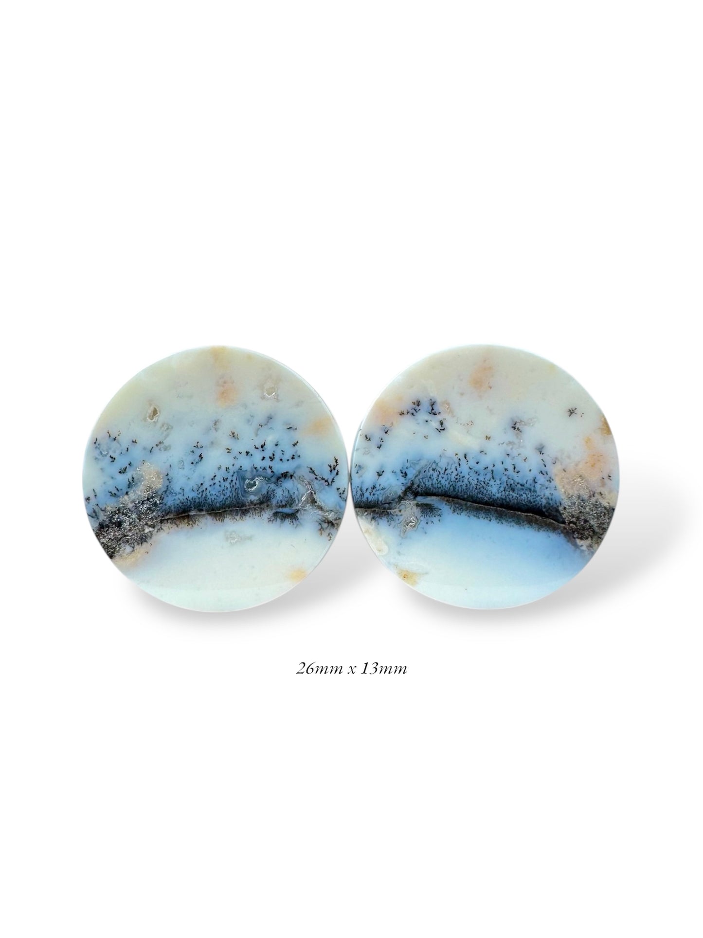 Large 1” / 26mm Dendritic Plume Agate
