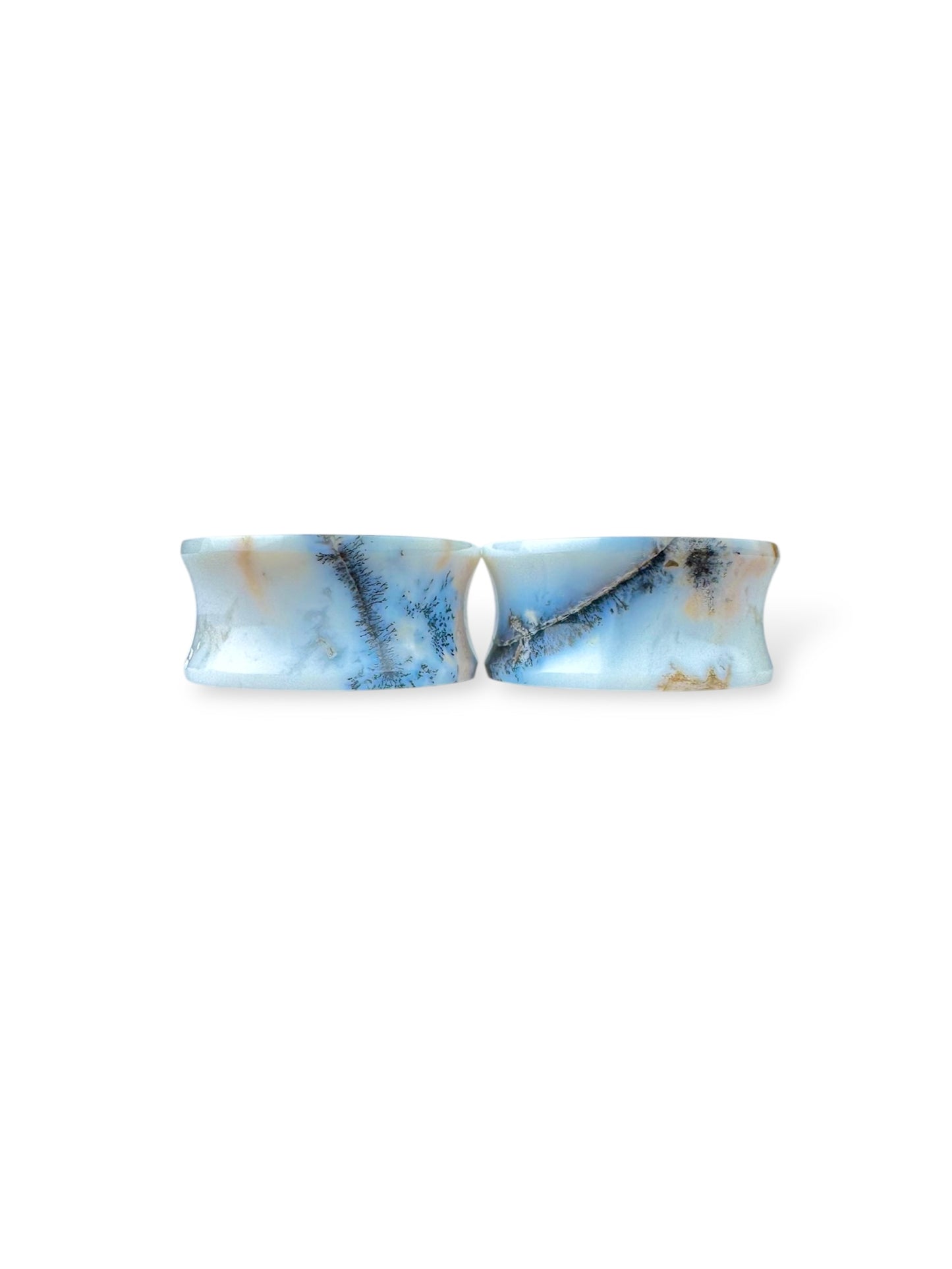 Large 1” / 26mm Dendritic Plume Agate