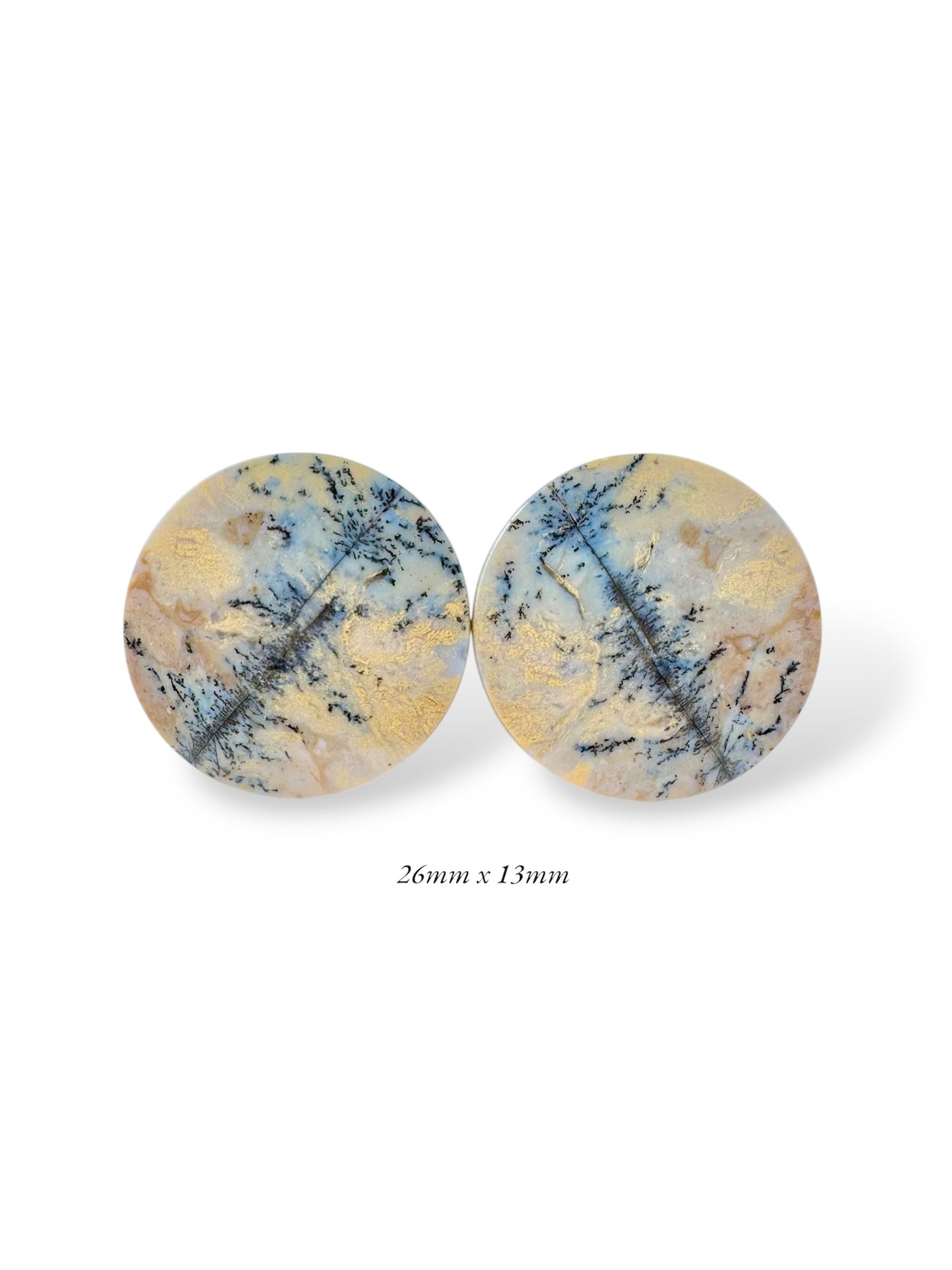 Large 1” / 26mm Dendritic Plume Agate