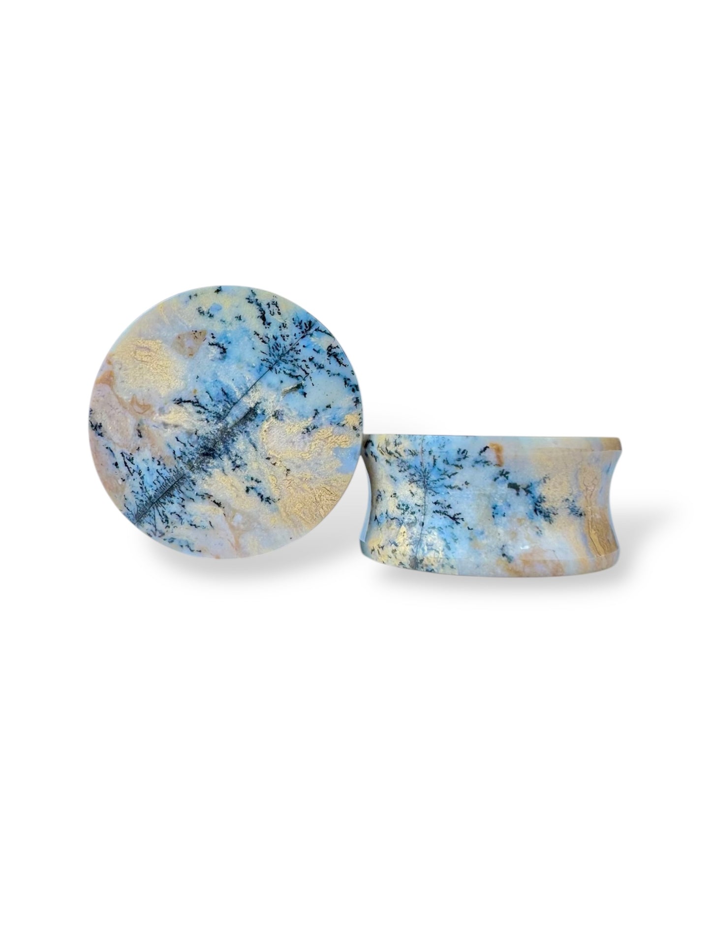Large 1” / 26mm Dendritic Plume Agate