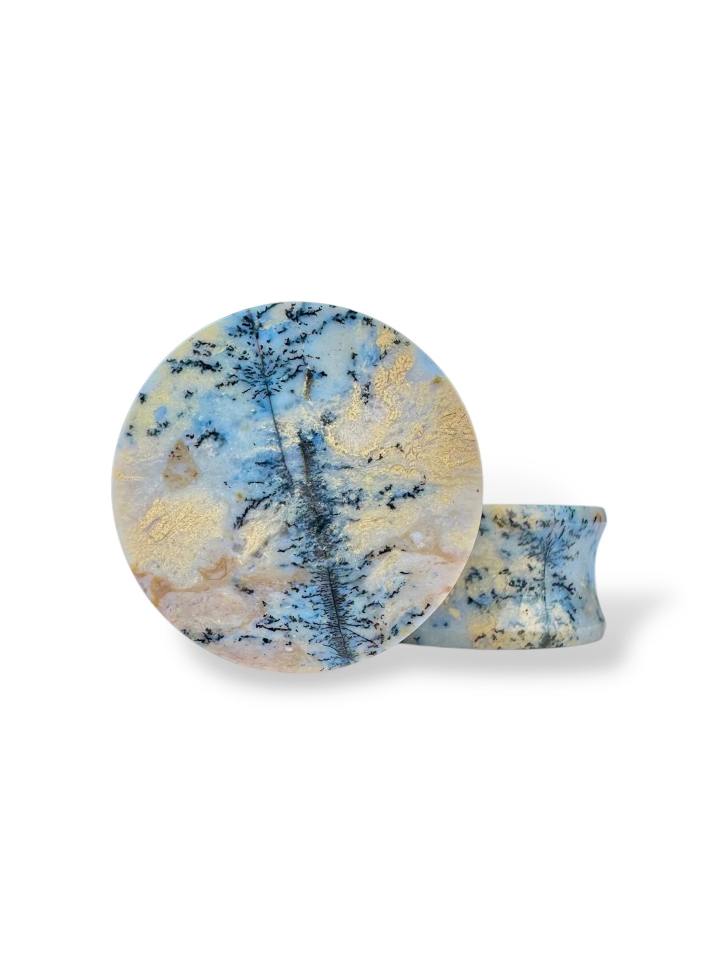 Large 1” / 26mm Dendritic Plume Agate