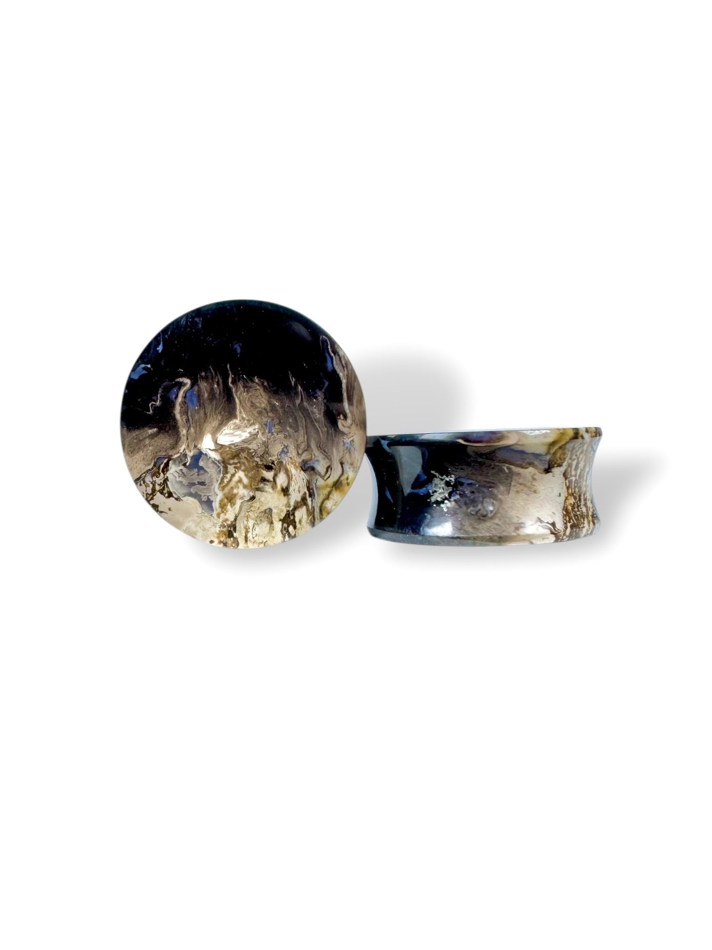 Large 1” / 26mm Petrified Palm Wood