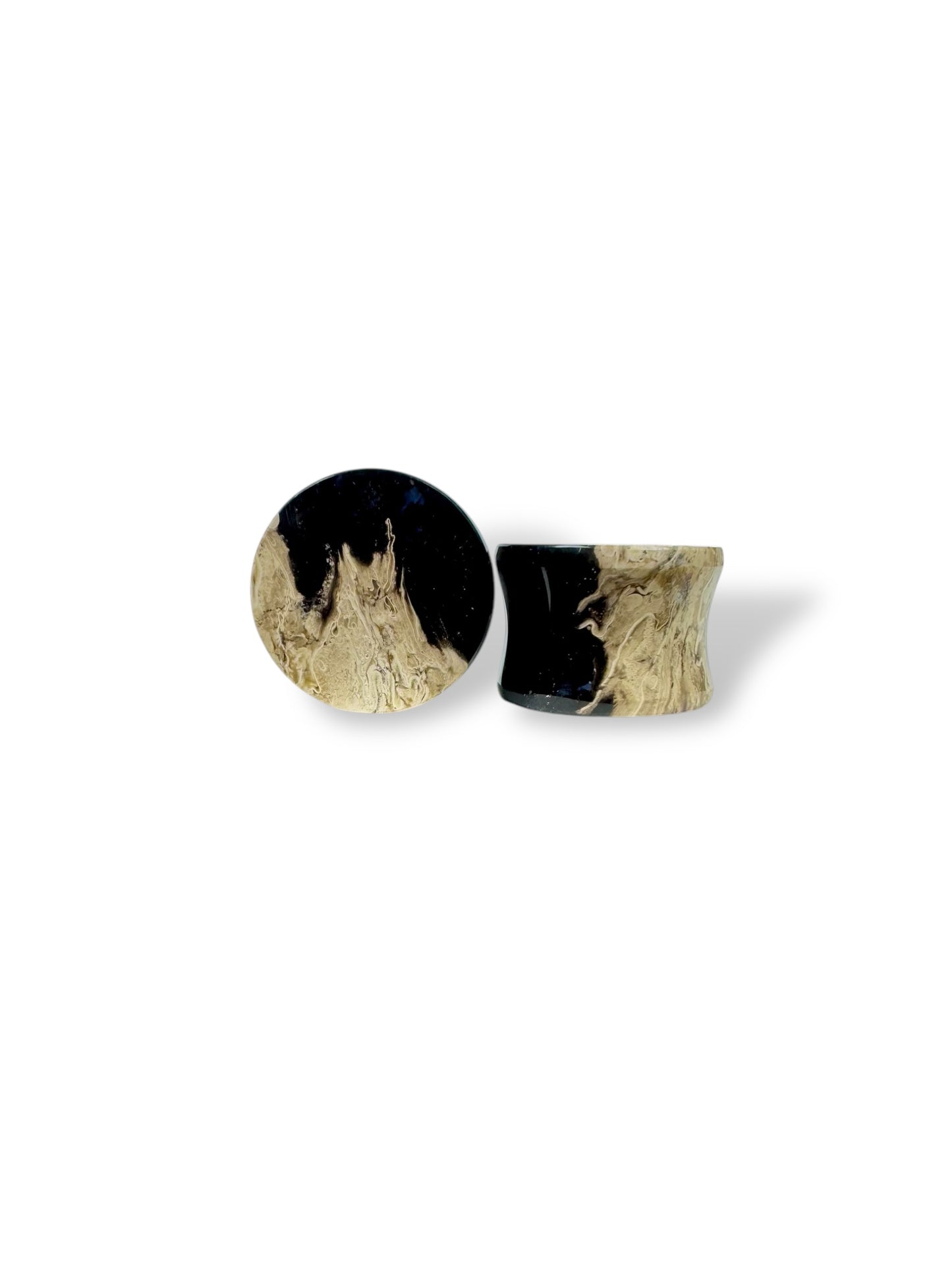 Large 5/8” / 16mm Petrified Palm Wood
