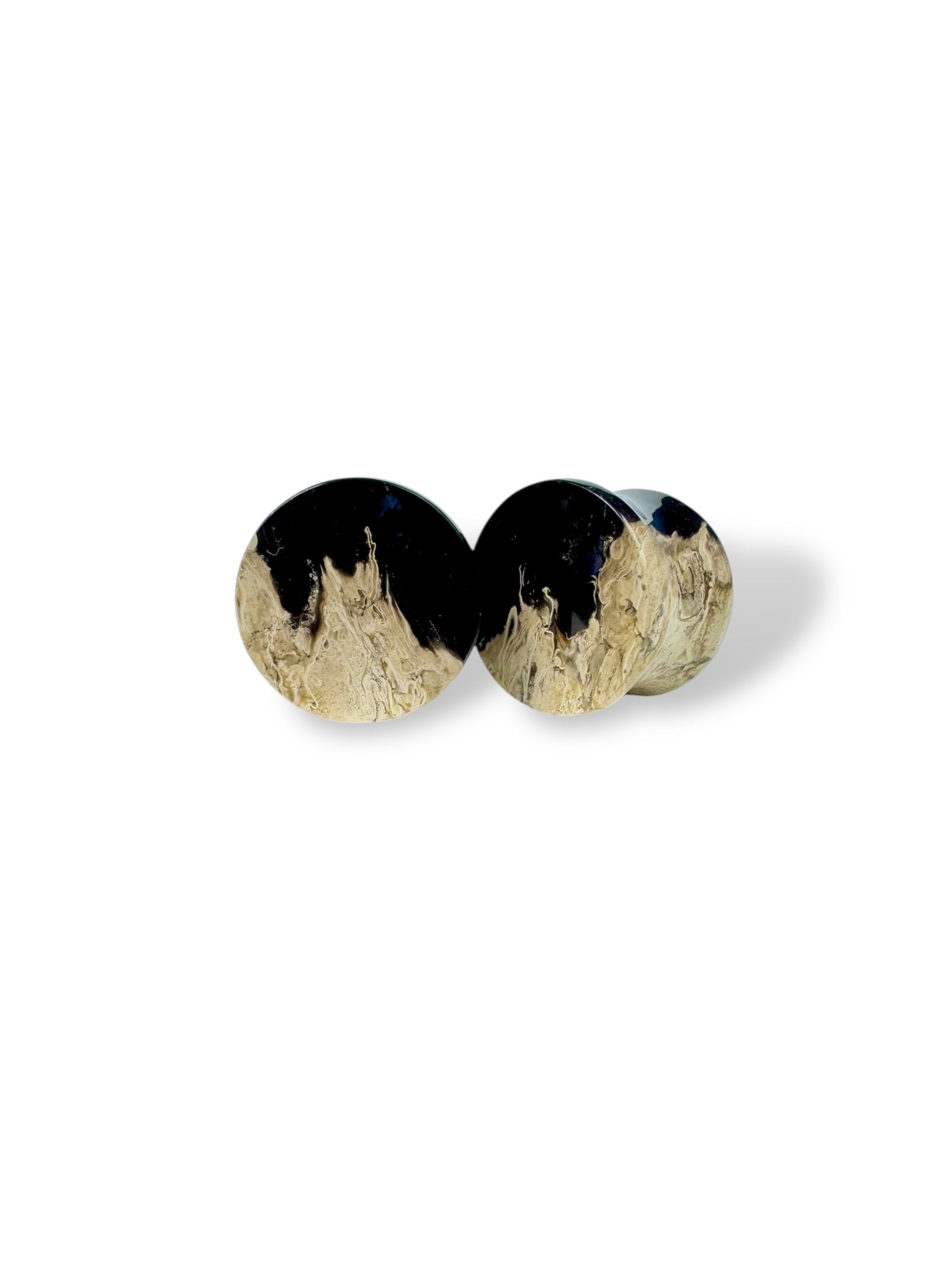 Large 5/8” / 16mm Petrified Palm Wood