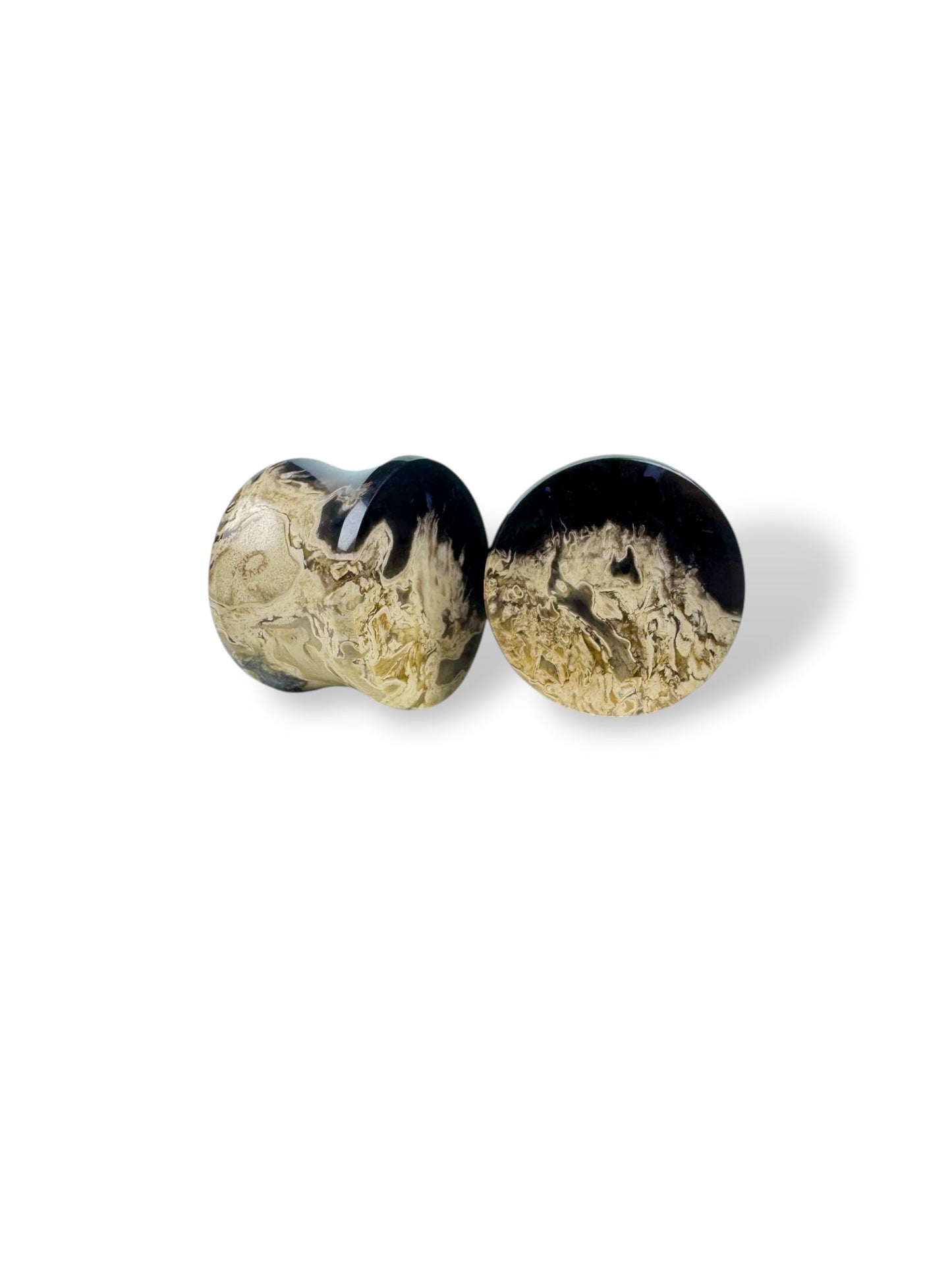 Large 5/8” / 16mm Petrified Palm Wood
