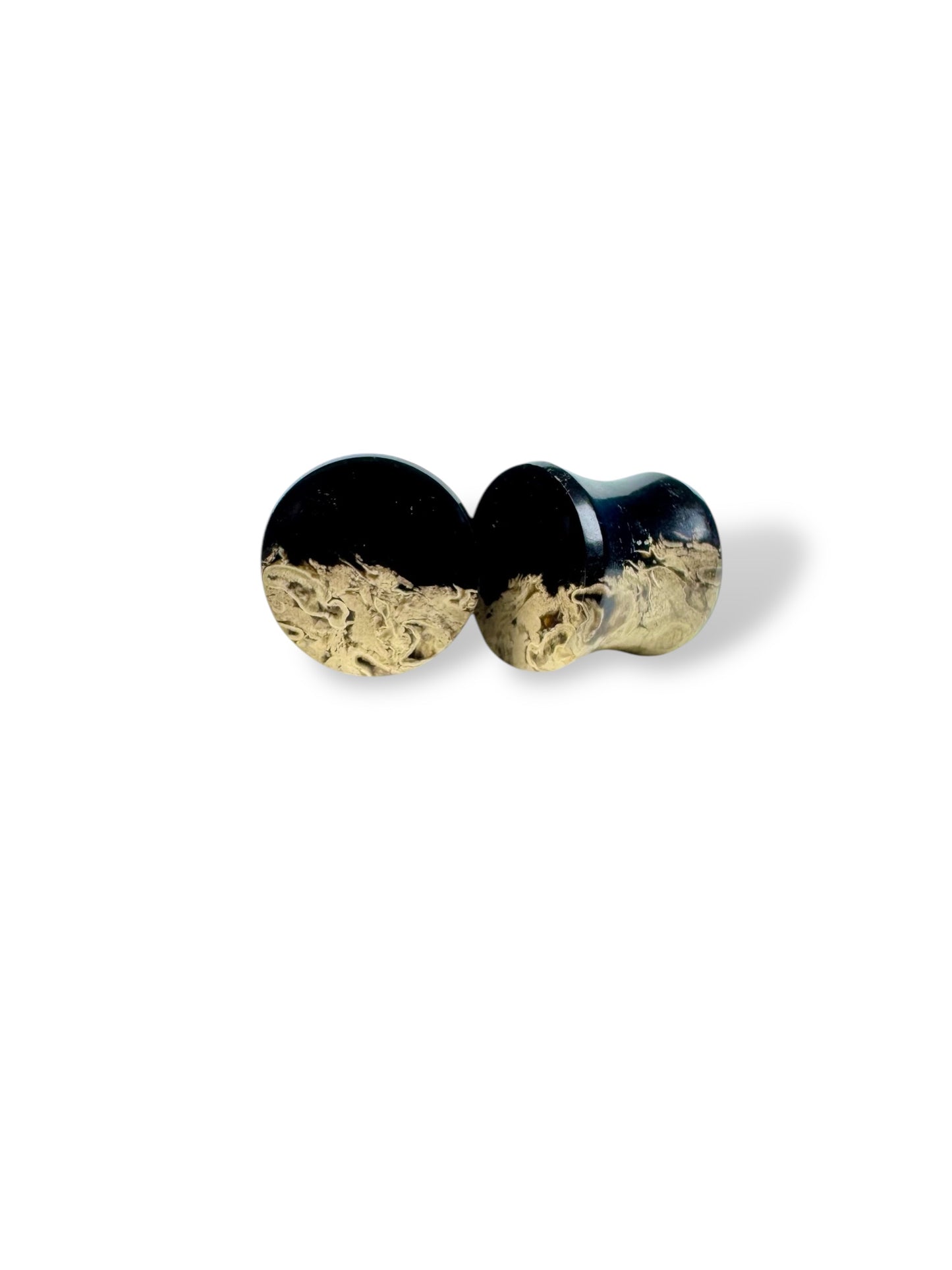 7/16” / 11mm Petrified Palm Wood