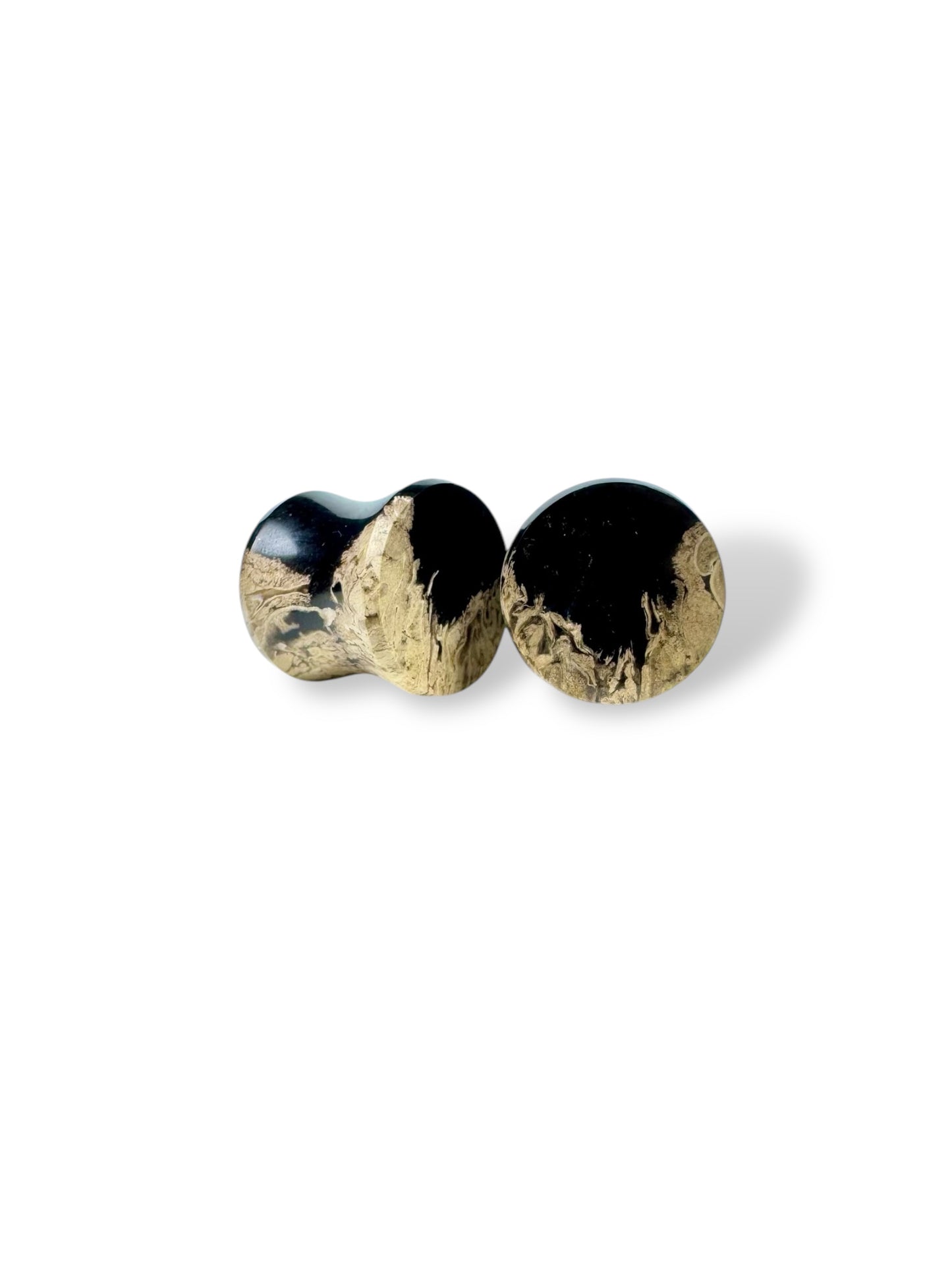 7/16” / 11mm Petrified Palm Wood