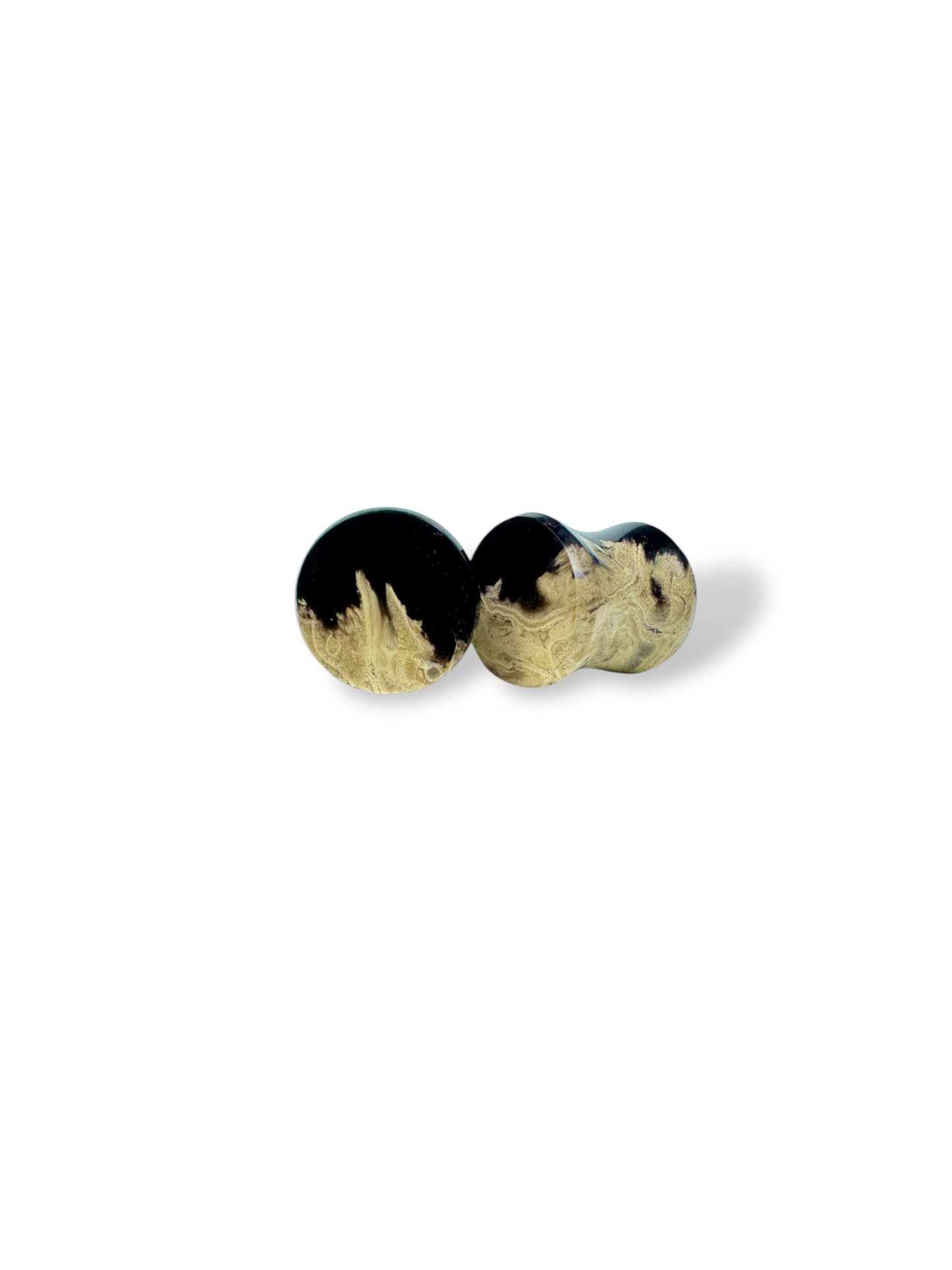 0g / 8mm Petrified Palm Wood