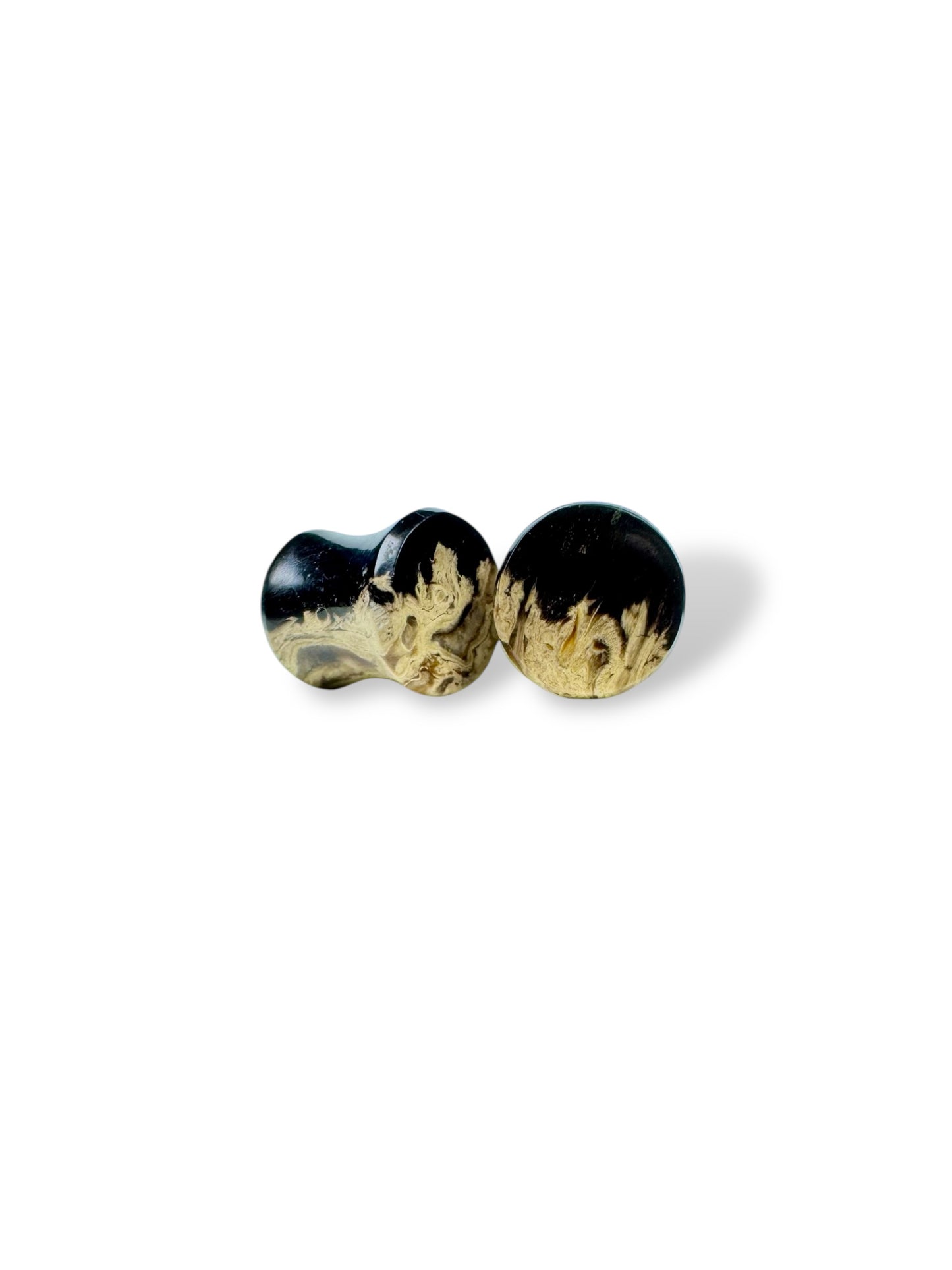 0g / 8mm Petrified Palm Wood