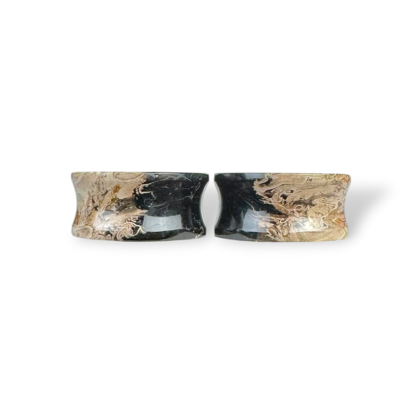 Large 1” / 26mm Petrified Palm Wood