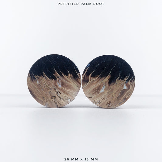 Large 1” / 26mm Petrified Palm Wood