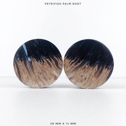 1 1/2” / 38mm Petrified Palm Wood