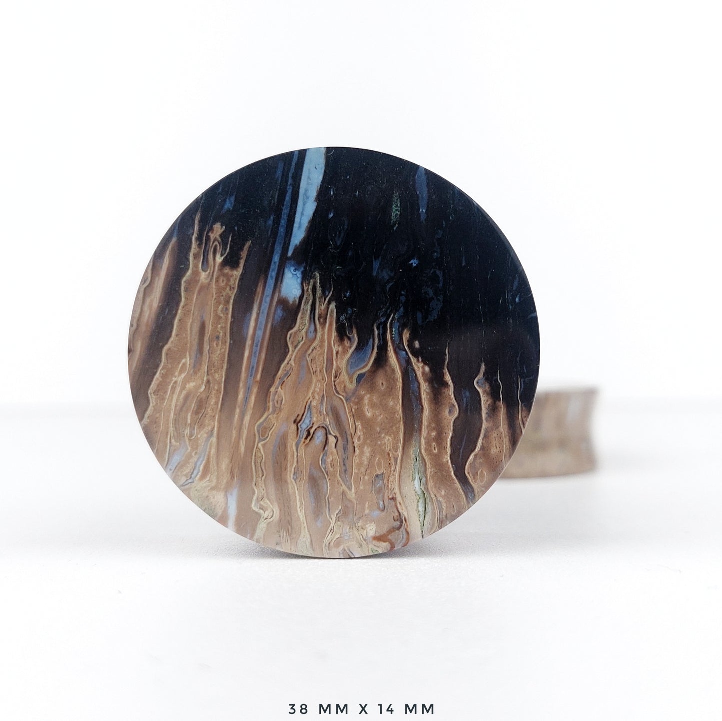 1 1/2” / 38mm Petrified Palm Wood