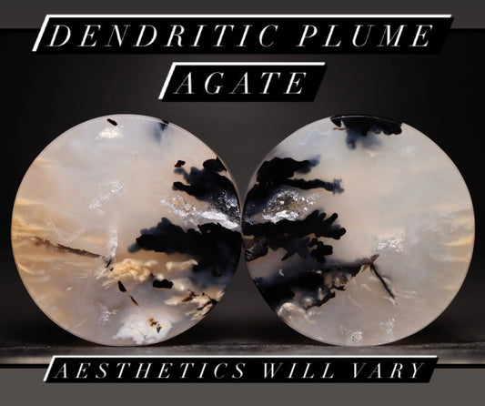 Dendritic Plume Agate