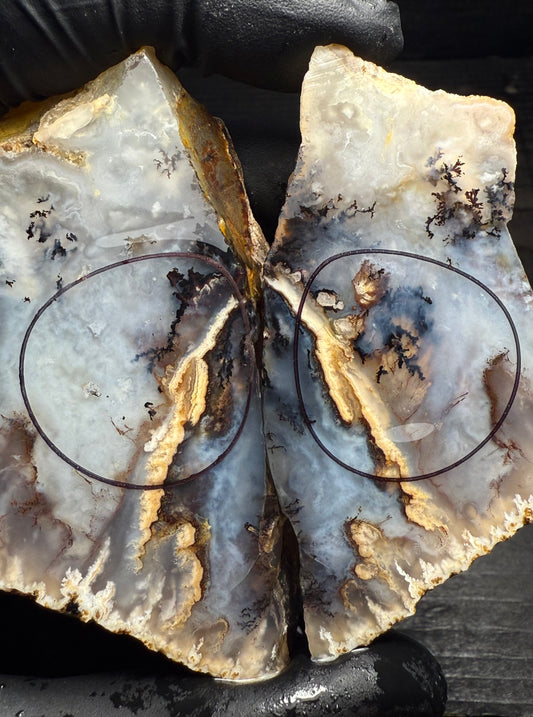 19-26mm Dendritic Graveyard Point Plume Agate