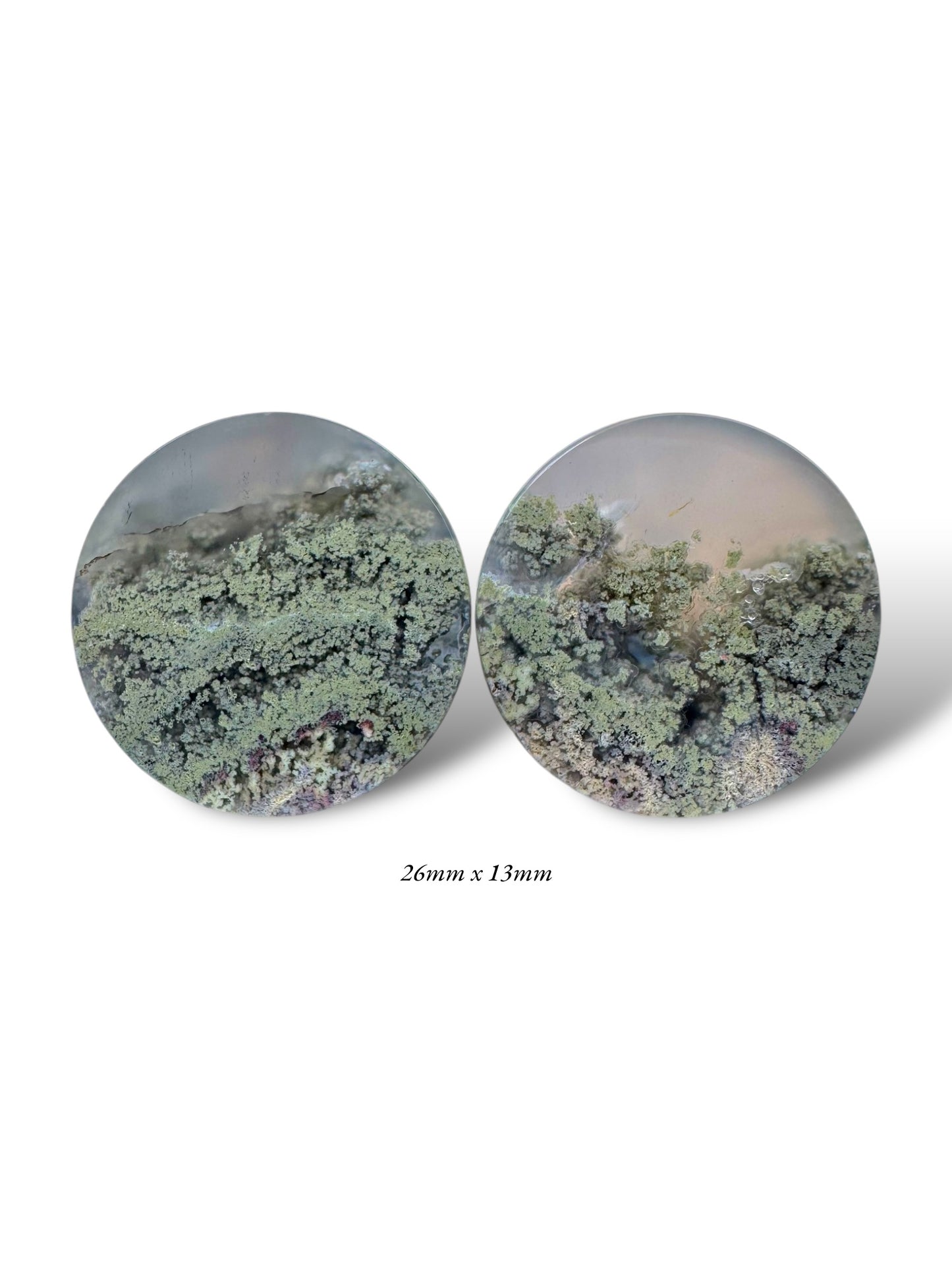 Large 1” / 26mm Scenic Moss Agate