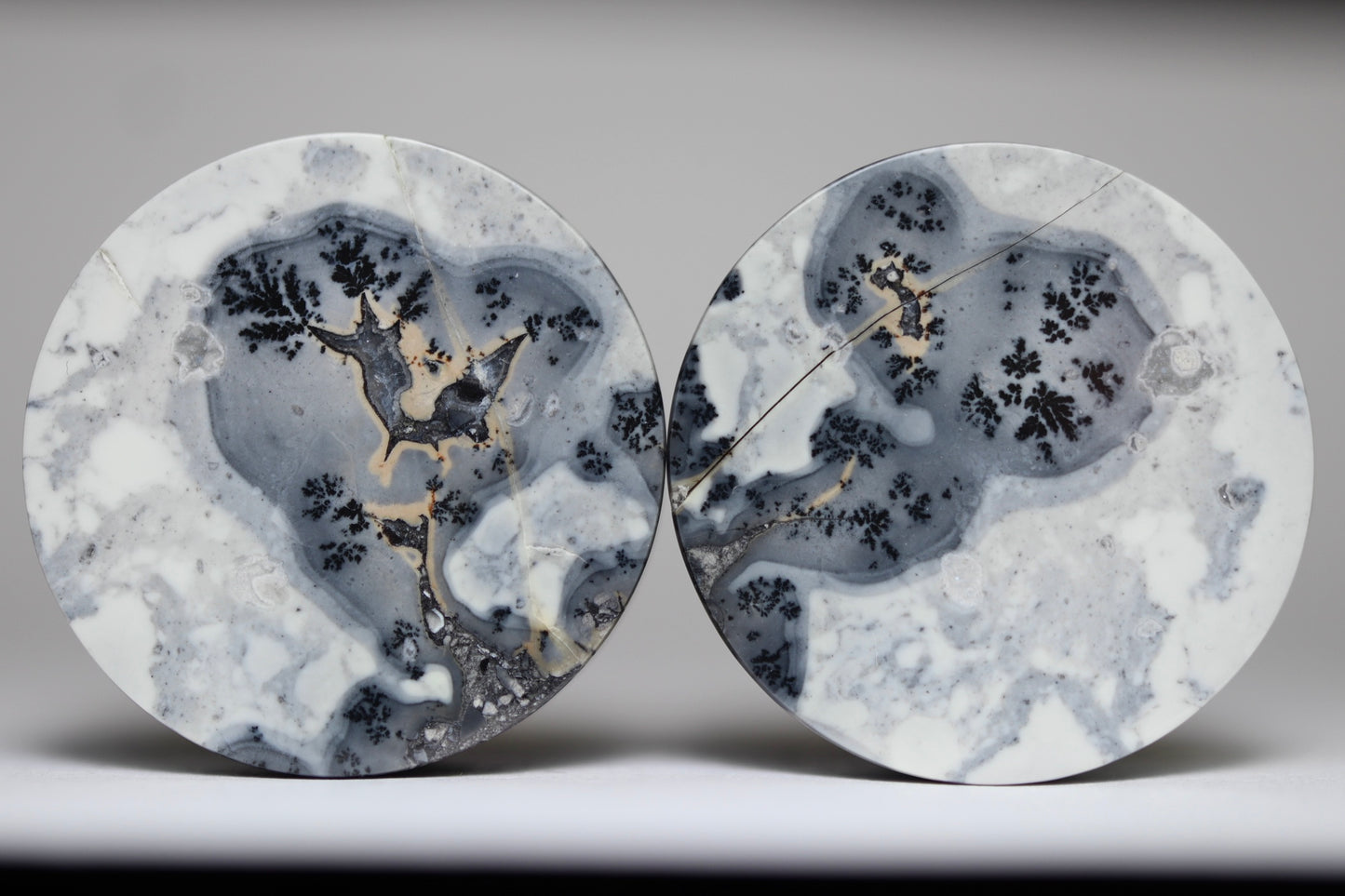 1 1/8” / 28mm Dendritic Maligano Jasper