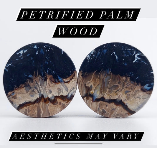 Petrified Palm Wood