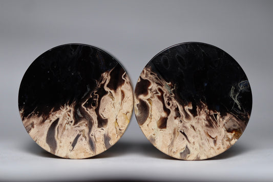 Large 1” / 26mm Petrified Palm Wood