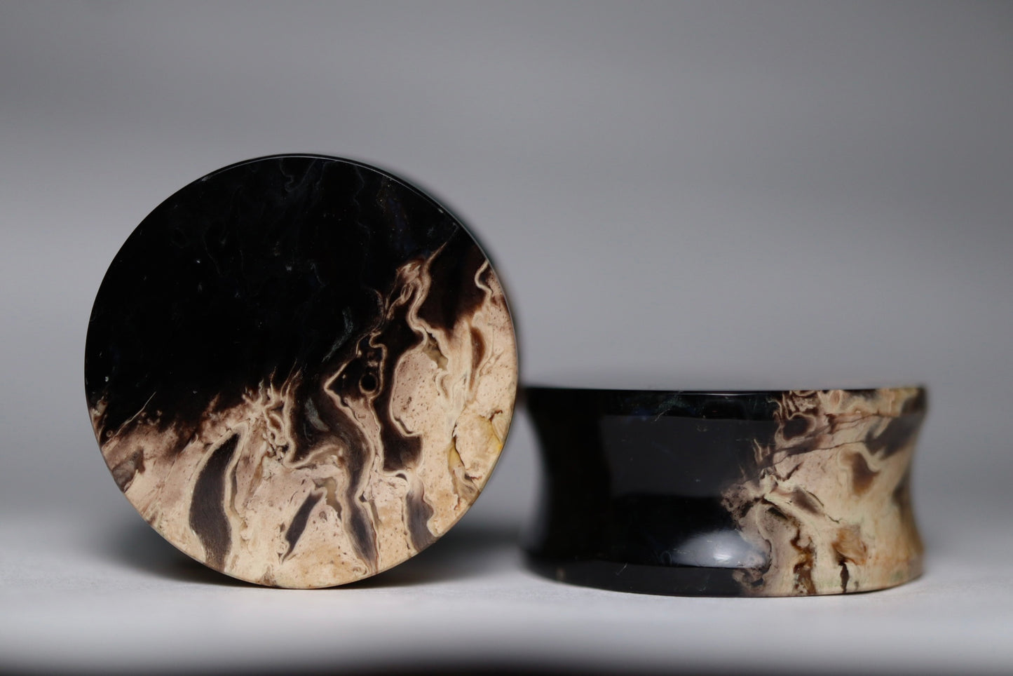 Large 1” / 26mm Petrified Palm Wood