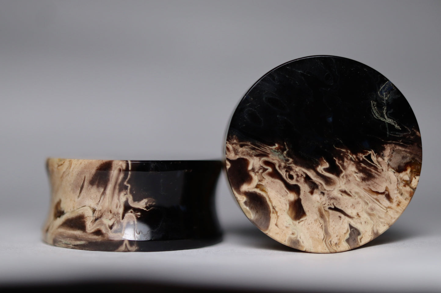 Large 1” / 26mm Petrified Palm Wood