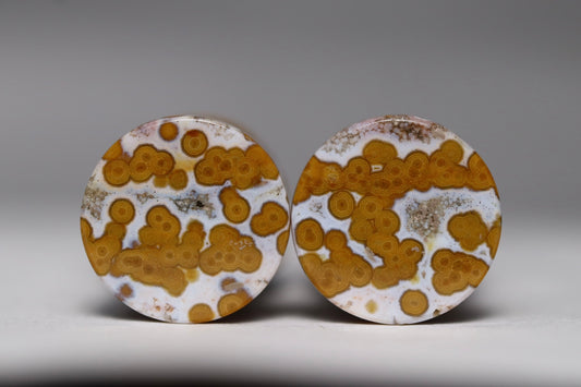Large 00g / 10mm Indonesian Orbicular Jasper