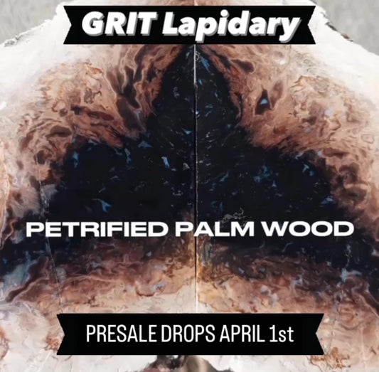 Petrified Palm Wood