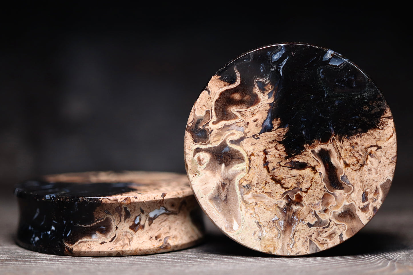 1 7/8” / 47mm Petrified Palm Wood