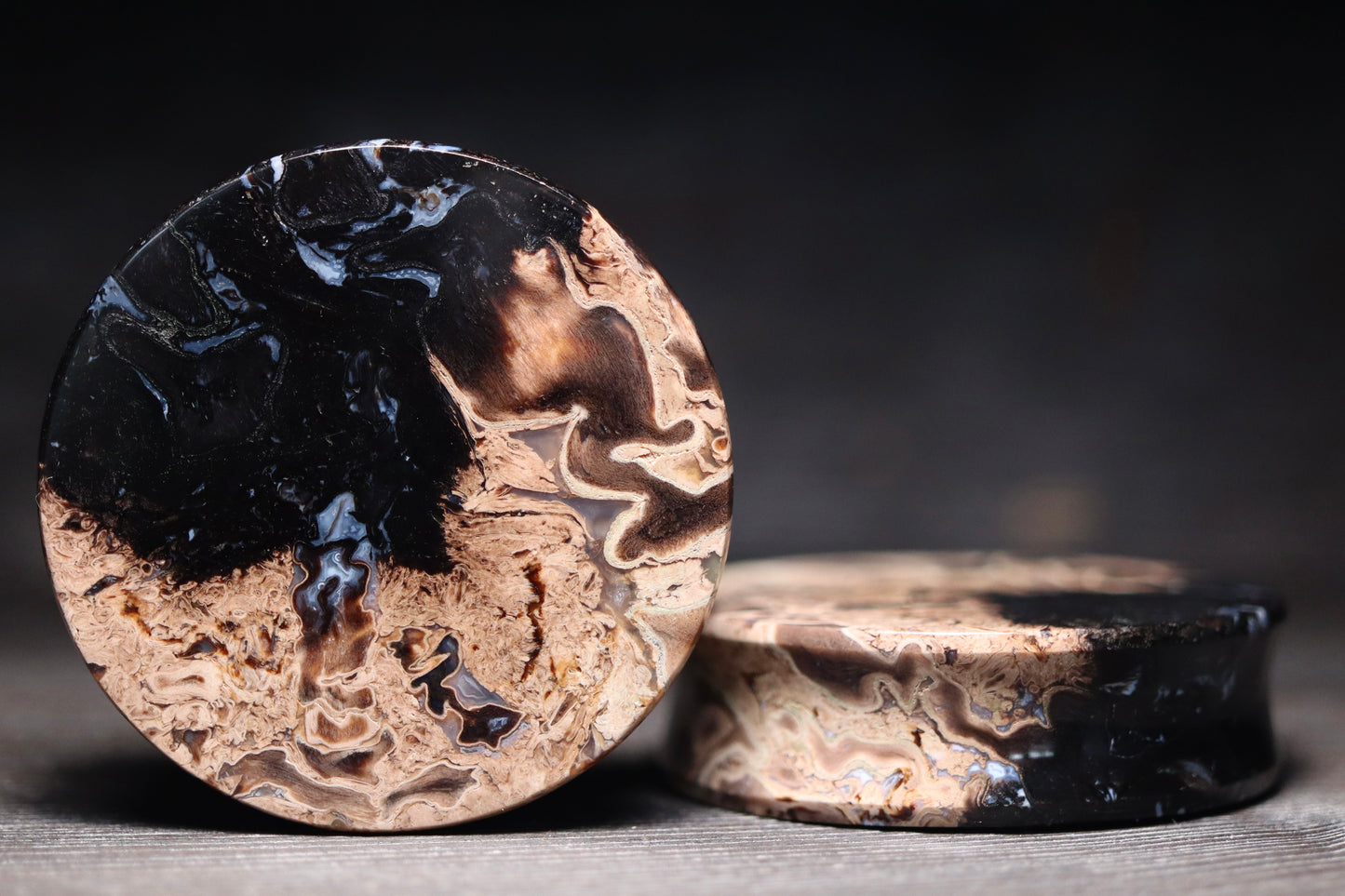 1 7/8” / 47mm Petrified Palm Wood