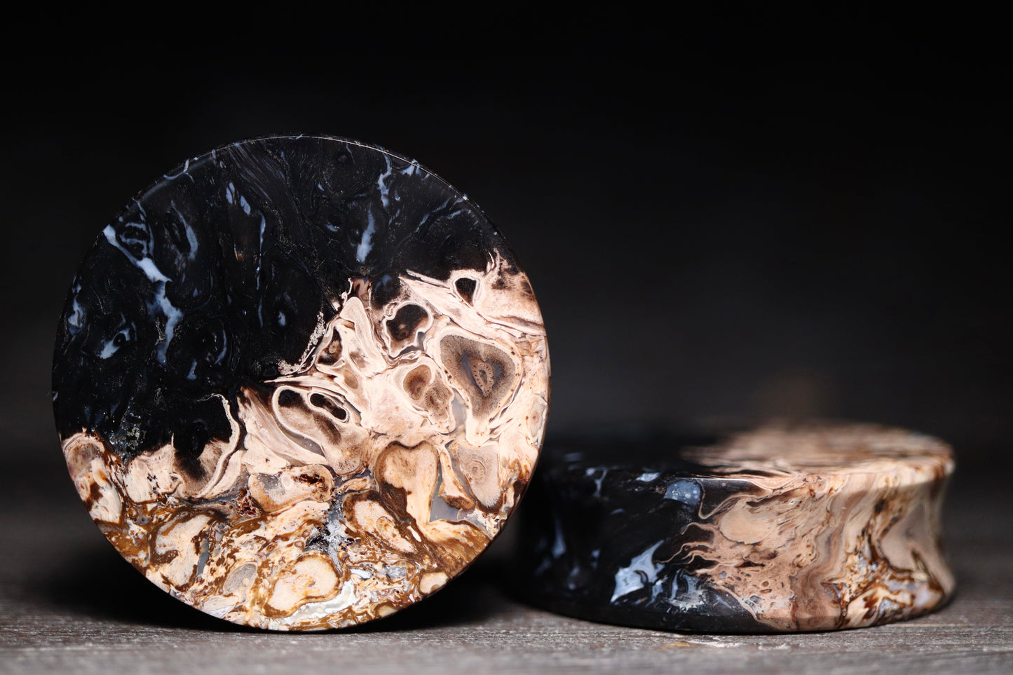 1 5/8” / 41mm Petrified Palm Wood