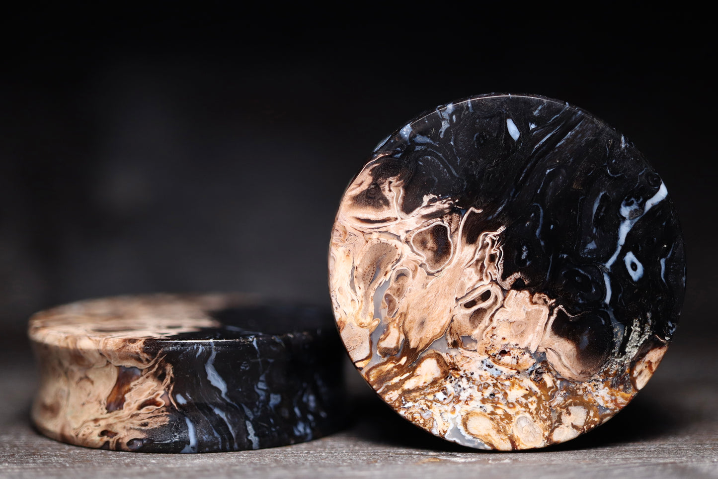 1 5/8” / 41mm Petrified Palm Wood