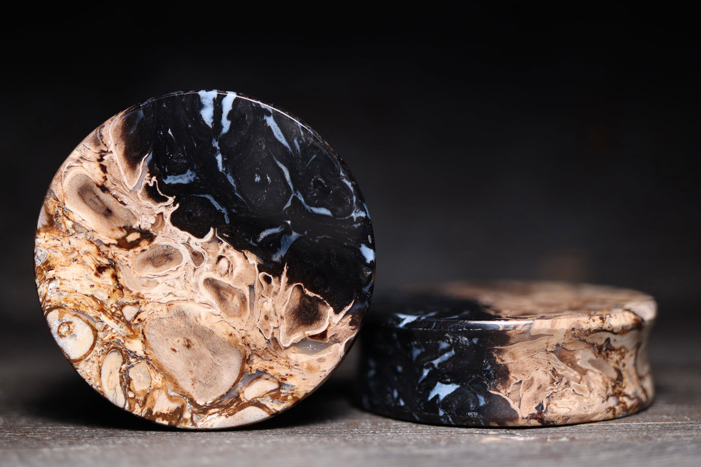 1 5/8” / 41mm Petrified Palm Wood