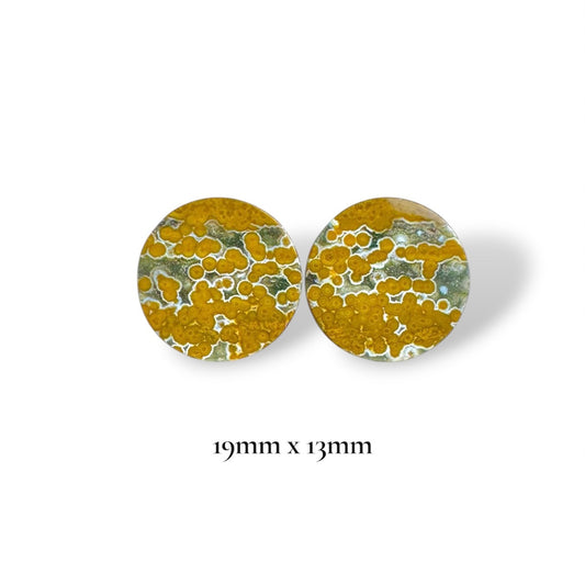 3/4” / 19mm Indonesian Orbicular Jasper
