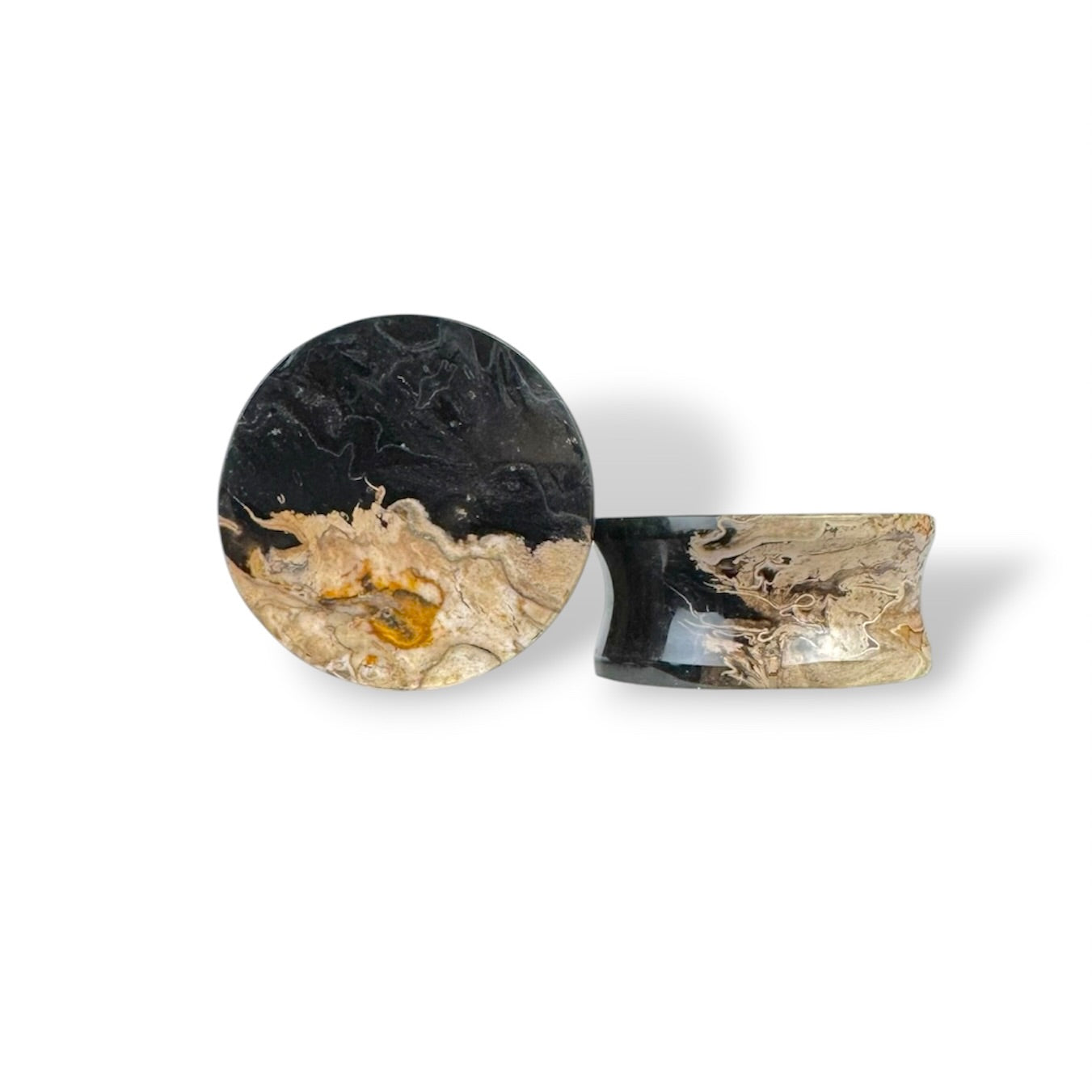 Large 1” / 26mm Petrified Palm Wood