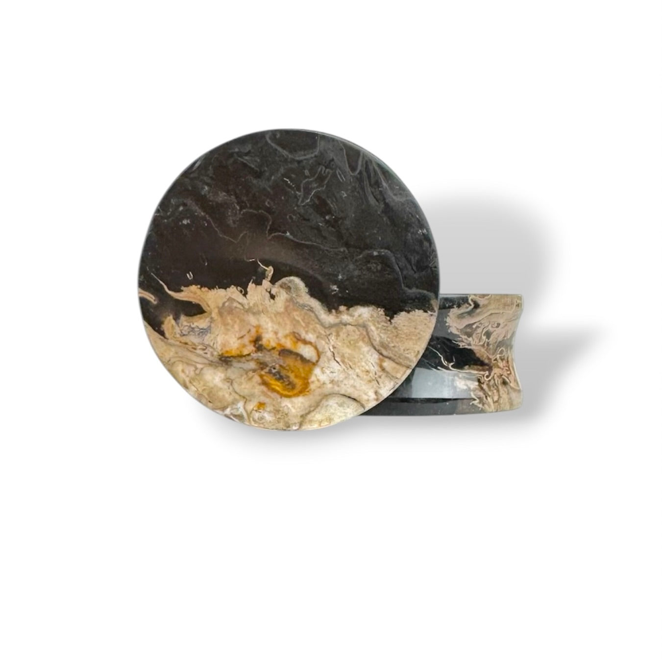 Large 1” / 26mm Petrified Palm Wood