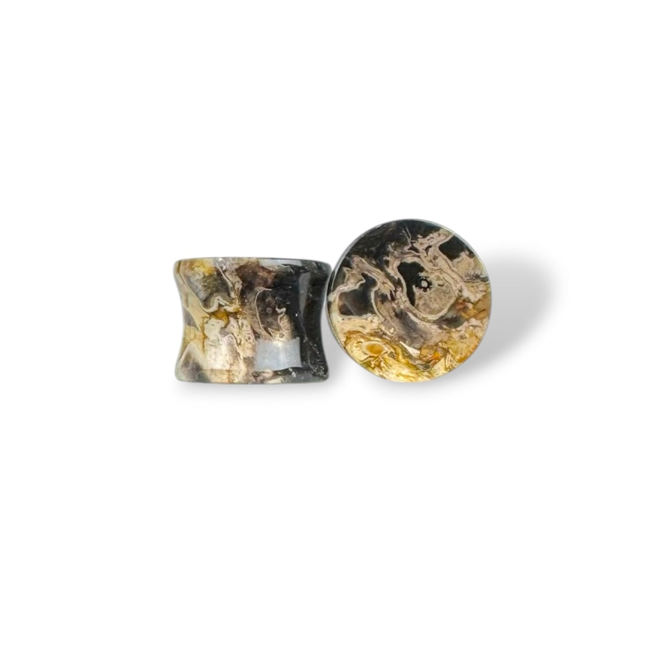 9/16” / 14mm Petrified Palm Wood