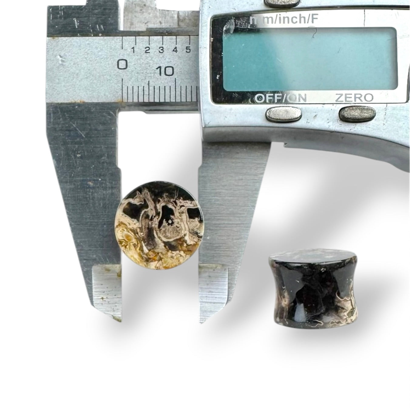 9/16” / 14mm Petrified Palm Wood